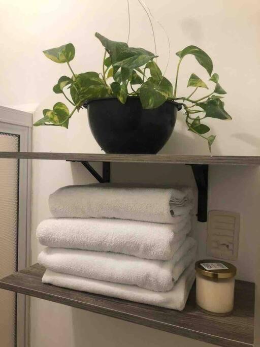 Comfortable And Private House 2 Bedrooms Wifi Parking Free Монтерей Екстериор снимка